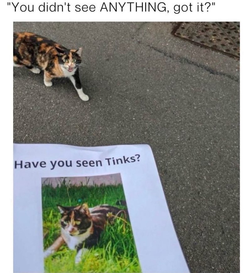 "You didn't see ANYTHING, got it?" Have you seen Tinks?
