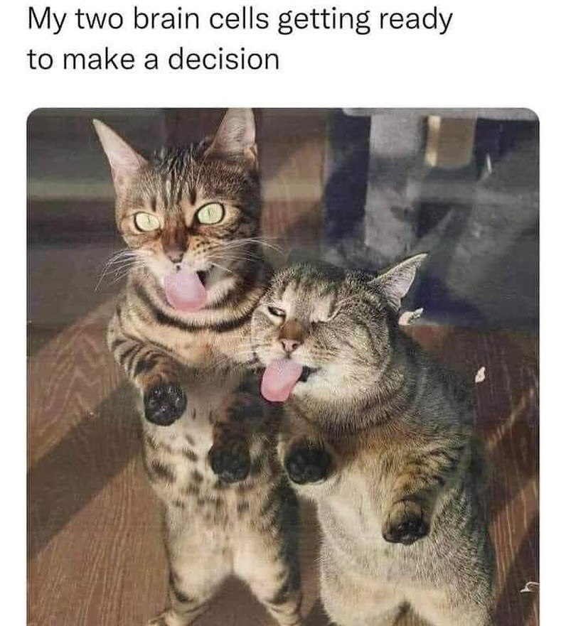 My two brain cells getting ready to make a decision