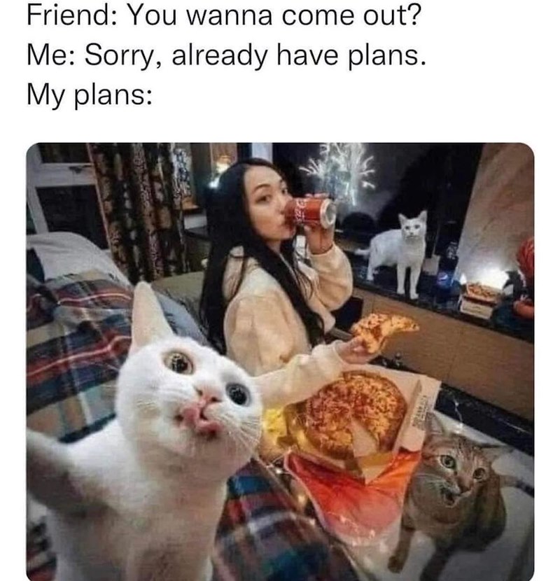 Friend: You wanna come out? Me: Sorry, already have plans. My plans: