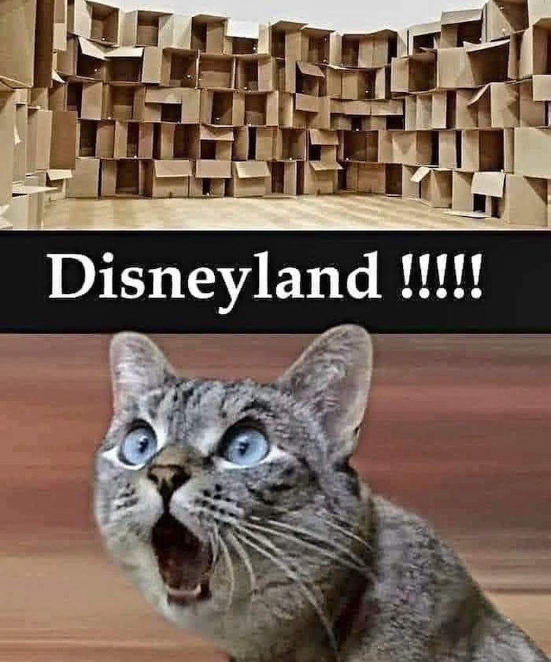 Disneyland !!!!!