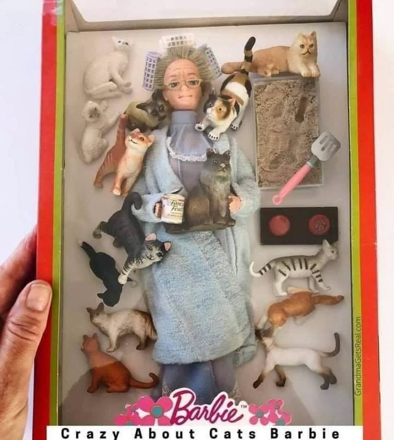 Fanc Fea Barbie Crazy About Cats Barbie GrandmaGetsReal.com