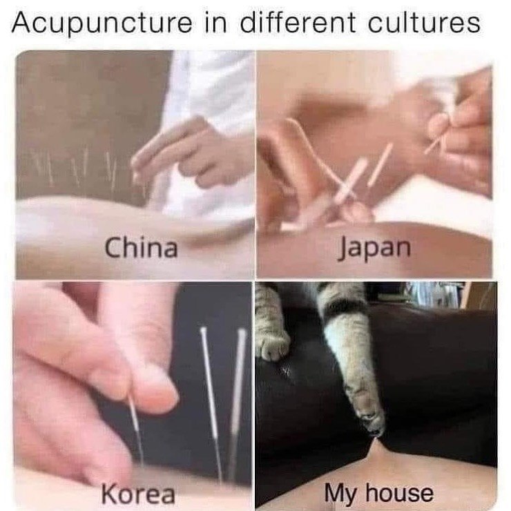 Acupuncture in different cultures China Japan Korea My house
