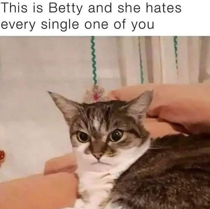 This is Betty and she hates every single one of you