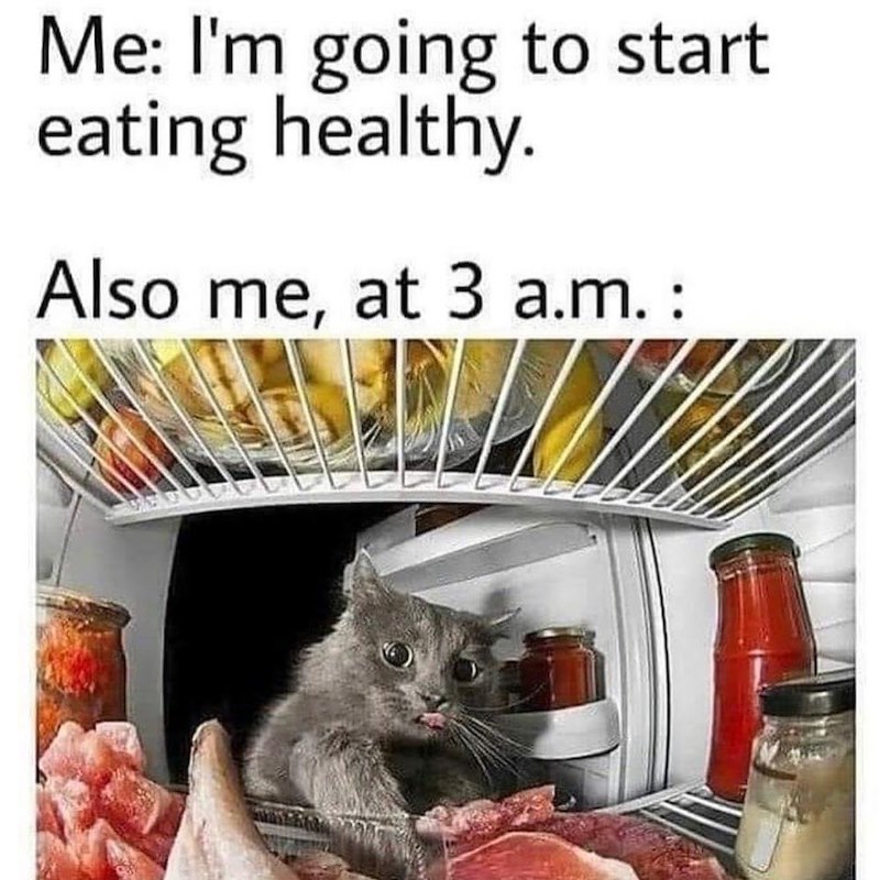 Me: I'm going to start eating healthy. Also me, at 3 a.m.: