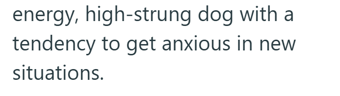 energy, high-strung dog with a tendency to get anxious in new situations.