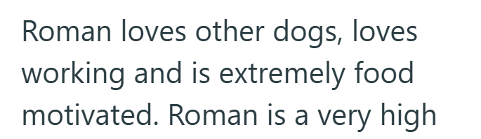 Roman loves other dogs, loves working and is extremely food motivated. Roman is a very high