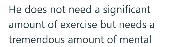 He does not need a significant amount of exercise but needs a tremendous amount of mental
