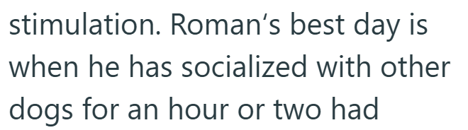 stimulation. Roman's best day is when he has socialized with other dogs for an hour or two had