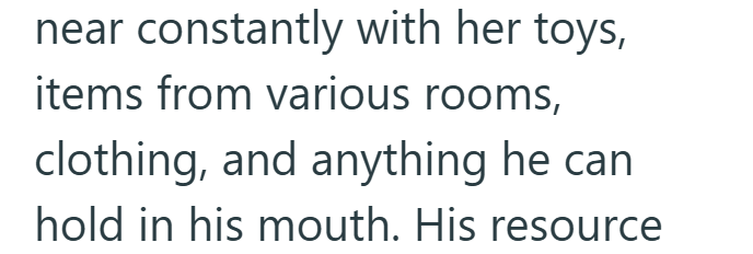 near constantly with her toys, items from various rooms, clothing, and anything he can hold in his mouth. His resource
