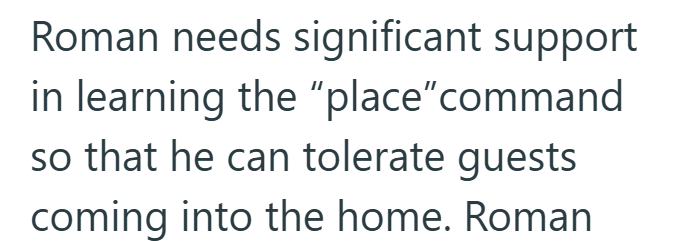 Roman needs significant support in learning the "place"command so that he can tolerate guests coming into the home. Roman