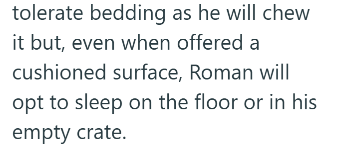 tolerate bedding as he will chew it but, even when offered a cushioned surface, Roman will opt to sleep on the floor or in his empty crate.