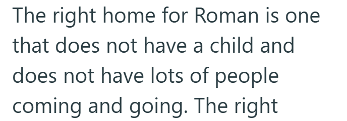 The right home for Roman is one that does not have a child and does not have lots of people coming and going. The right