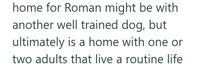 home for Roman might be with another well trained dog, but ultimately is a home with one or two adults that live a routine life