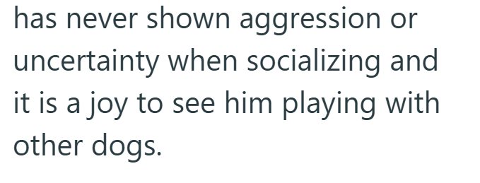 has never shown aggression or uncertainty when socializing and it is a joy to see him playing with other dogs.