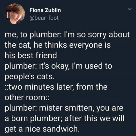 Fiona Zublin @bear_foot me, to plumber: I'm so sorry about the cat, he thinks everyone is his best friend plumber: it's okay, I'm used to people's cats. ::two minutes later, from the other room:: plumber: mister smitten, you are a born plumber; after this we will get a nice sandwich.