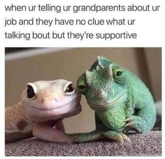 when ur telling ur grandparents about ur job and they have no clue what ur talking bout but they're supportive
