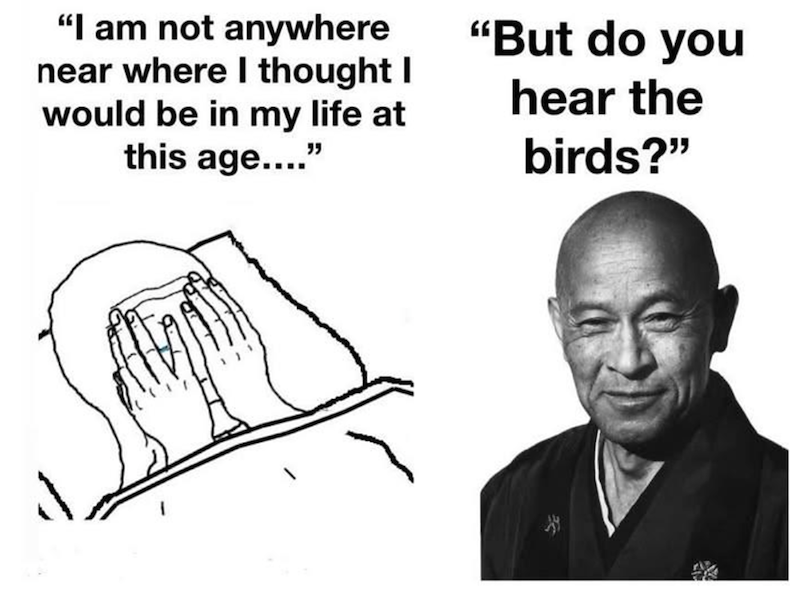 "I am not anywhere near where I thought I would be in my life at this age...." "But do you hear the birds?"