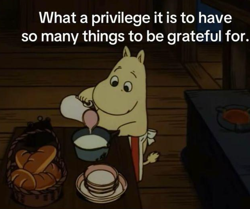 What a privilege it is to have so many things to be grateful for.