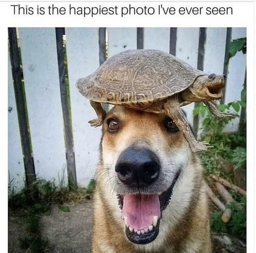 This is the happiest photo I've ever seen