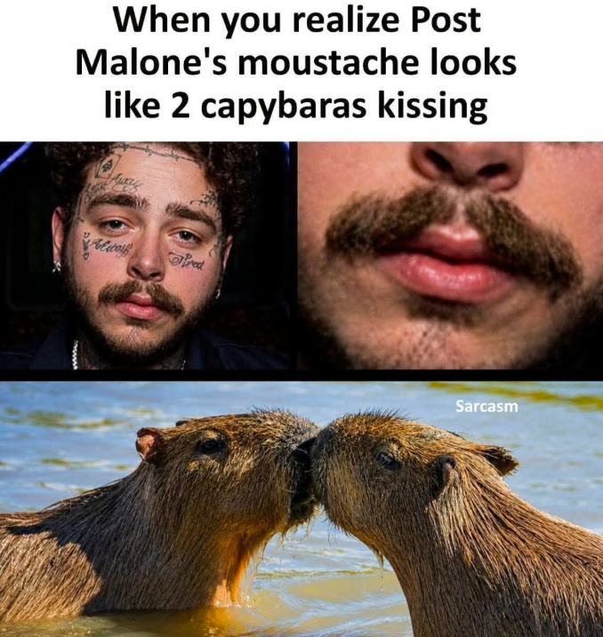 When you realize Post Malone's moustache looks like 2 capybaras kissing Alway Fred Sarcasm
