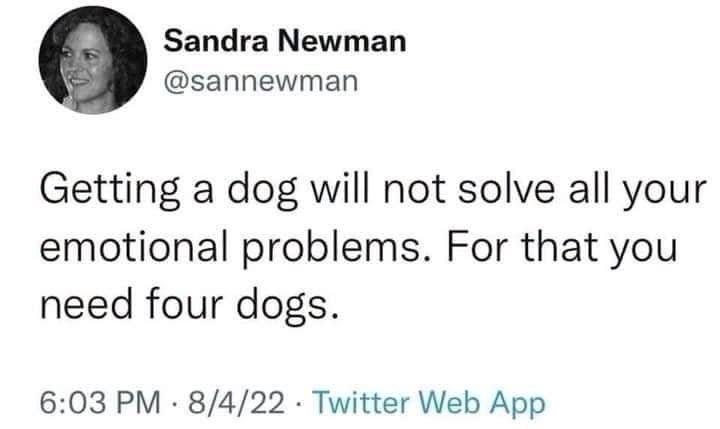 Sandra Newman @sannewman Getting a dog will not solve all your emotional problems. For that you need four dogs. 6:03 PM 8/4/22 Twitter Web App •