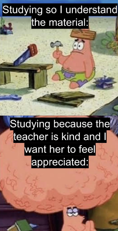 Studying so I understand the material: Studying because the teacher is kind and I want her to feel appreciated: LL