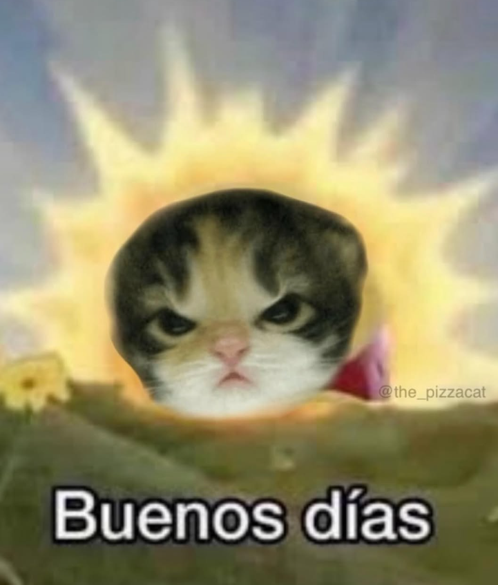 @the_pizzacat Buenos días
