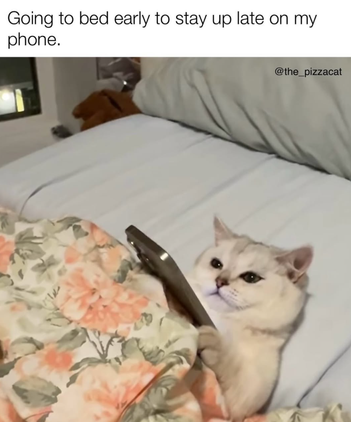 Going to bed early to stay up late on my phone. @the_pizzacat