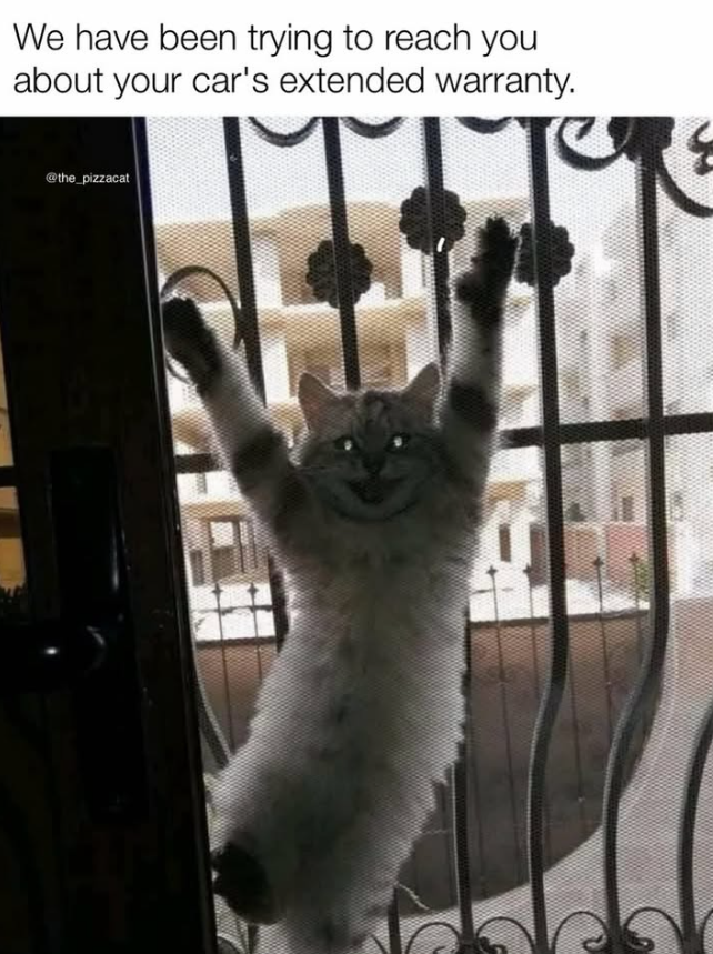 We have been trying to reach you about your car's extended warranty. @the_pizzacat