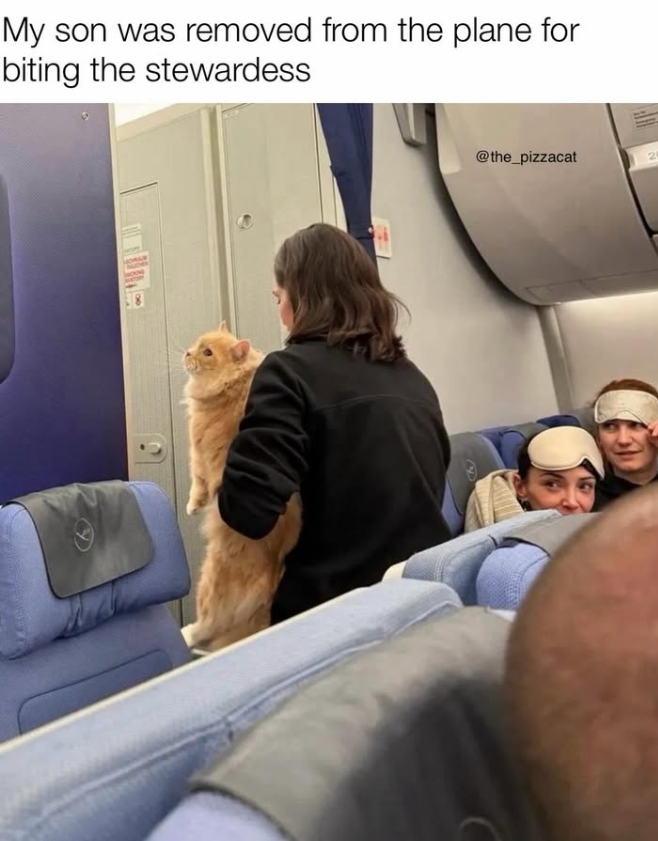 My son was removed from the plane for biting the stewardess @the_pizzacat