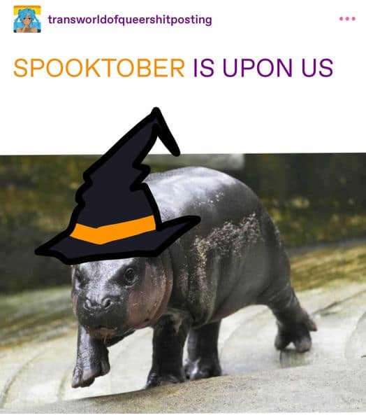 transworldofqueershitposting SPOOKTOBER IS UPON US ...