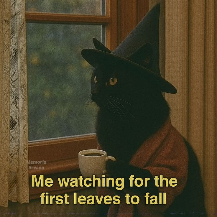 Memoria Arcana Me watching for the first leaves to fall