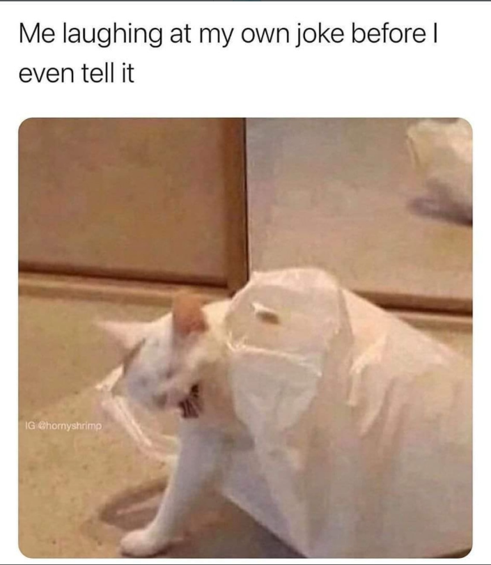 Me laughing at my own joke before I even tell it IG @hornyshrimp