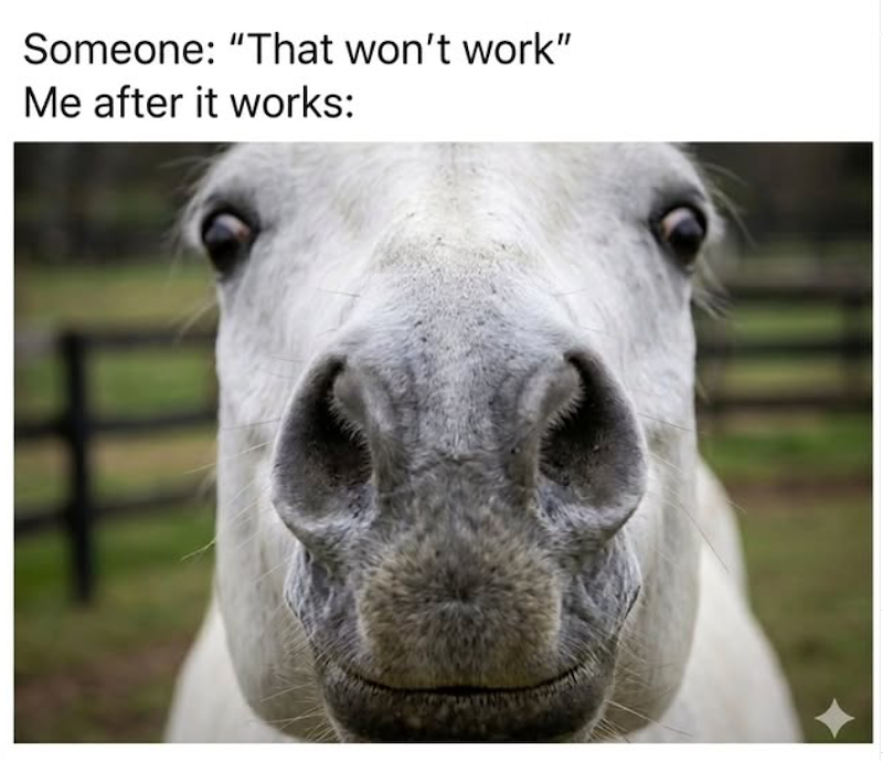 Someone: "That won't work" Me after it works: