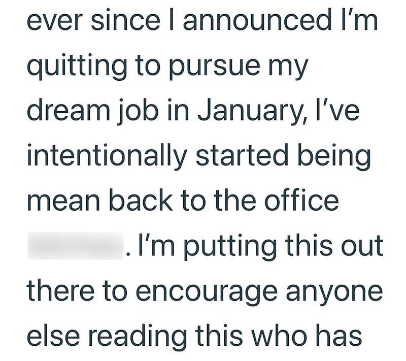 ever since I announced I'm quitting to pursue my dream job in January, I've intentionally started being mean back to the office I. I'm putting this out there to encourage anyone else reading this who has