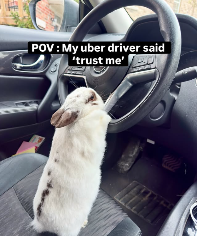 POV: My uber driver said 'trust me'