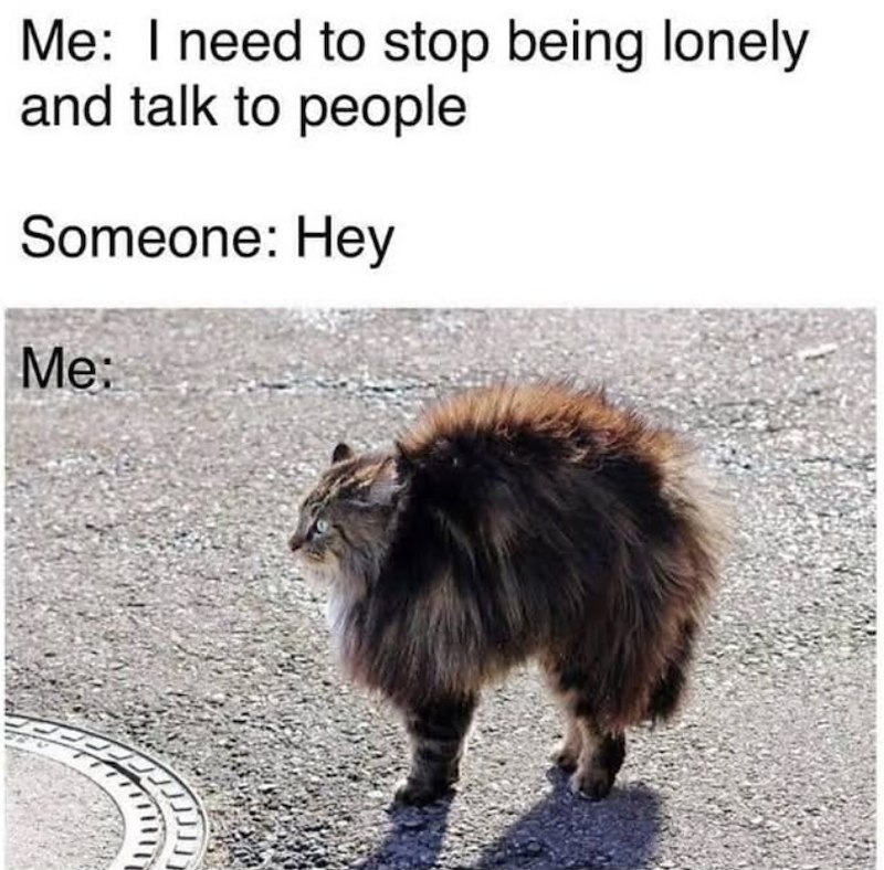Me: I need to stop being lonely and talk to people Someone: Hey Me: