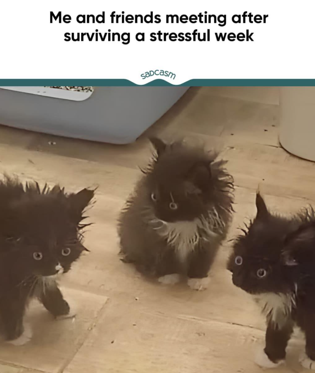 Me and friends meeting after surviving a stressful week Sadcasm