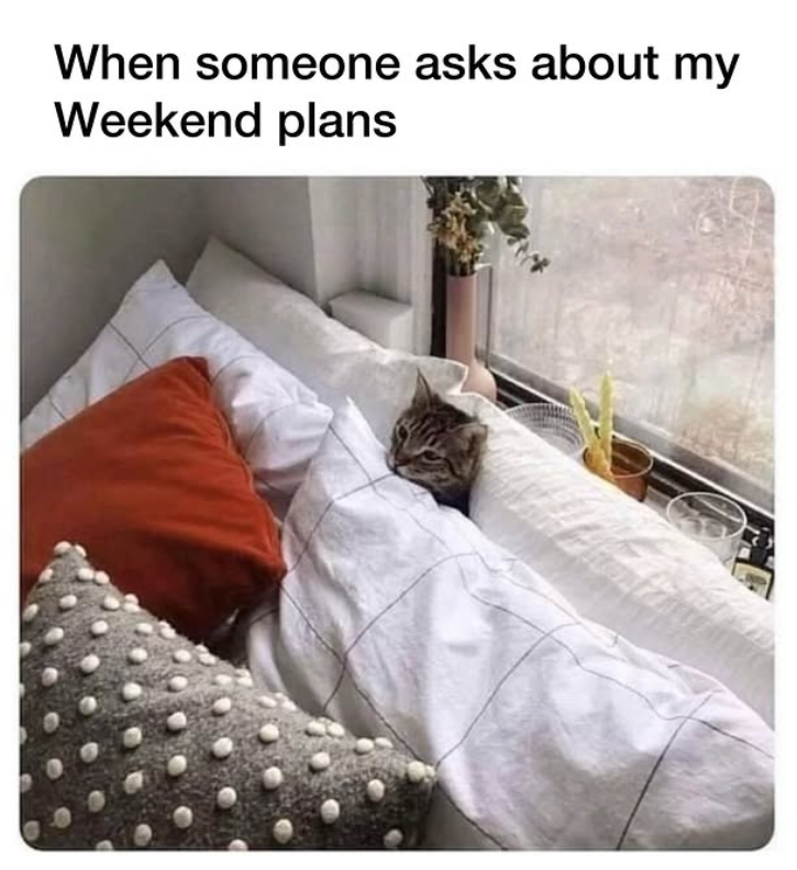 When someone asks about my Weekend plans