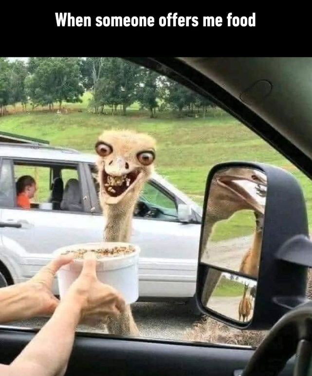 When someone offers me food