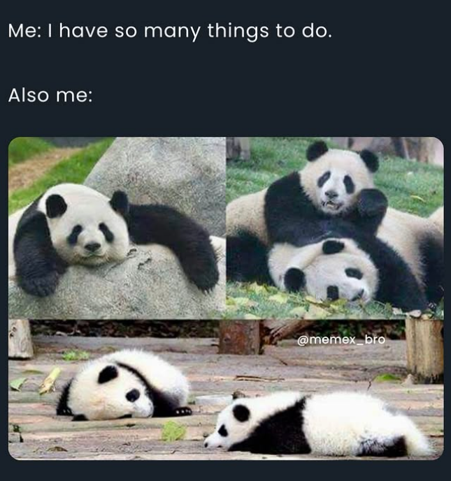 Me: I have so many things to do. Also me: @memex_bro