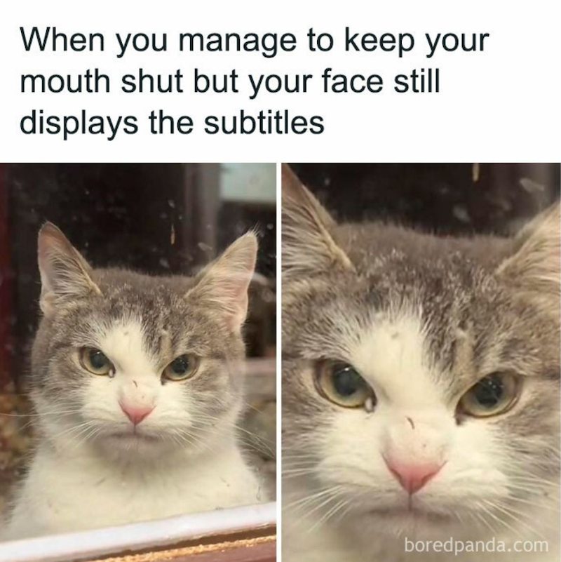 When you manage to keep your mouth shut but your face still displays the subtitles boredpanda.com