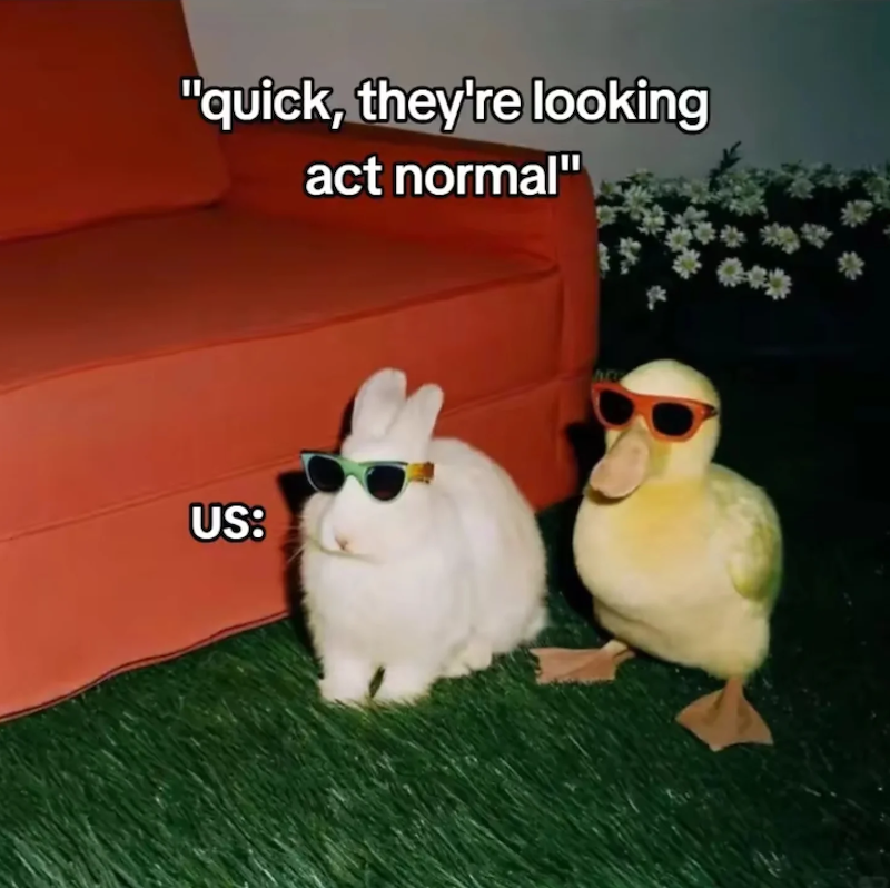 "quick, they're looking act normal" US: