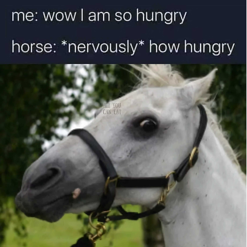 me: wow I am so hungry horse: *nervously* how hungry ALL YOU CAN EAT