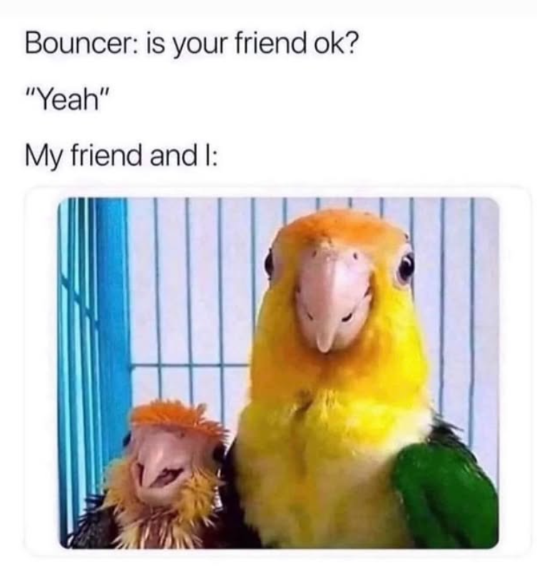Bouncer: is your friend ok? "Yeah" My friend and I: