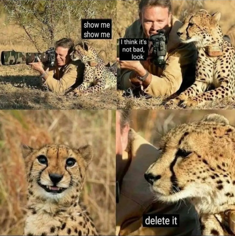 show me show me I think it's not bad, look delete it