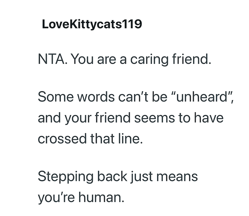 LoveKittycats119 NTA. You are a caring friend. Some words can't be "unheard", and your friend seems to have crossed that line. Stepping back just means you're human.