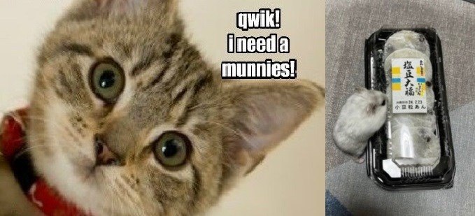 qwik! ineeda munnies! 塩豆大福 小豆あん