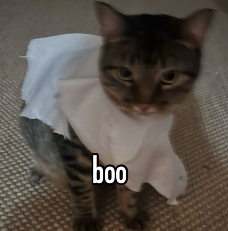 boo