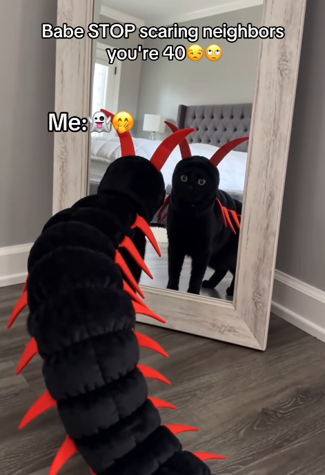 Babe STOP scaring neighbors you're 40 Me: